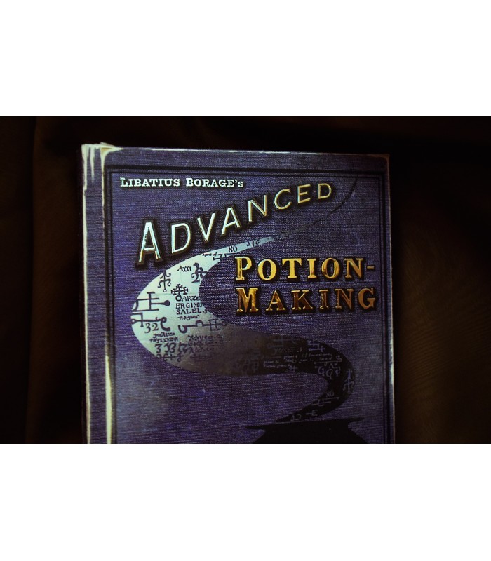 new LEGO Half-Blood Prince's Advanced Potion-Making Book from Harry Potter